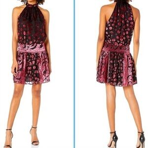 Ramy Brook Velvet Floral Naima Black and Burgundy Mini Dress